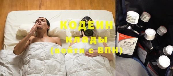 ПСИЛОЦИБИНОВЫЕ ГРИБЫ Елабуга