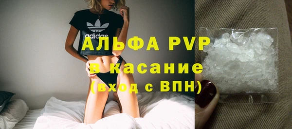 индика Дмитров