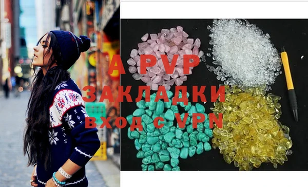 индика Дмитров