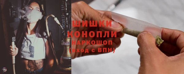 индика Дмитров