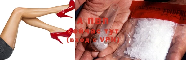 индика Дмитров