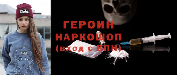 индика Дмитров