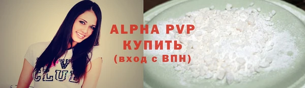 ECSTASY Ельня