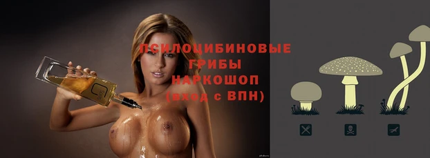 бутират Дмитриев