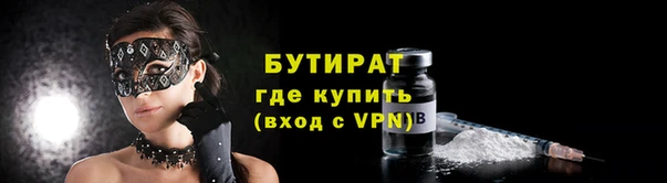 индика Дмитров