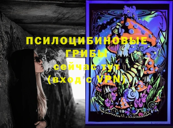 индика Дмитров