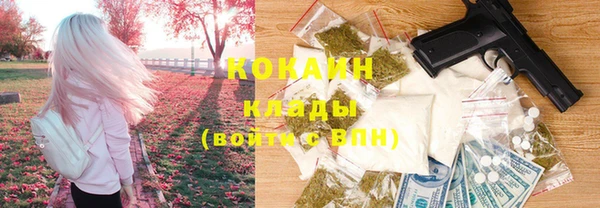индика Дмитров