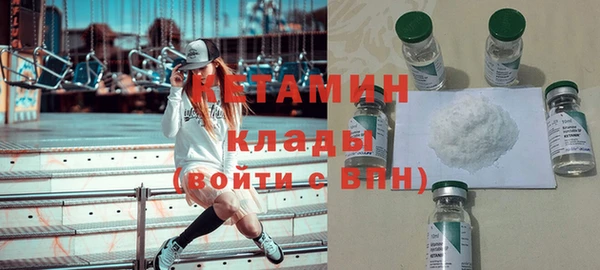 индика Дмитров