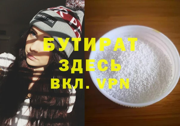 индика Дмитров