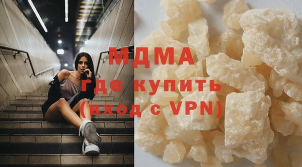 индика Дмитров