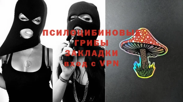 индика Дмитров