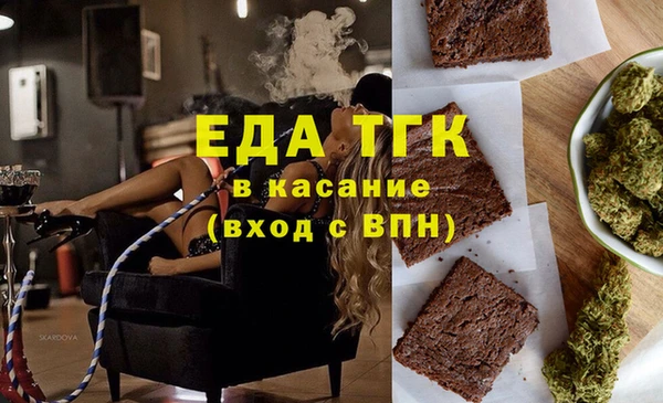 индика Дмитров