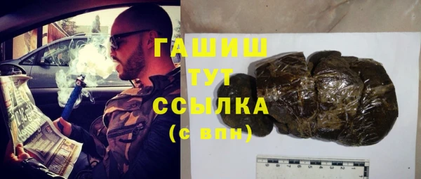 индика Дмитров