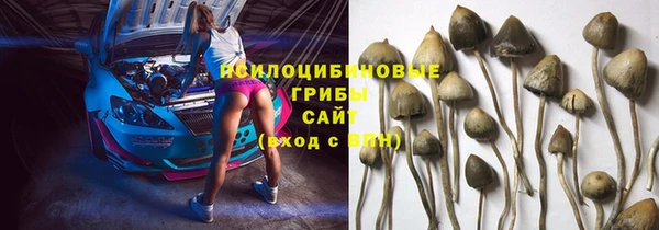 бутират Дмитриев